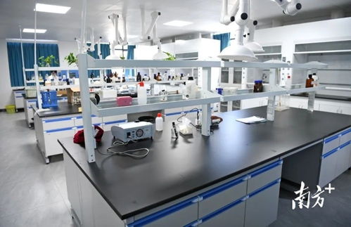 陽春市自來水廠擴容工程即將竣工運營，提升城市供水保障能力