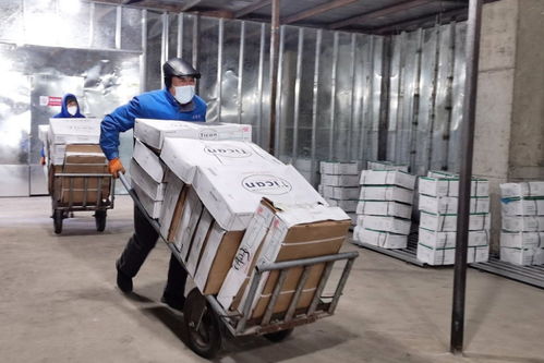 守護“舌尖上的安全” 遼源龍山區設立冷鏈食品監管倉，嚴控日用品銷售安全